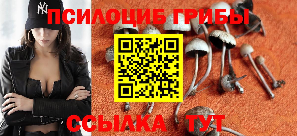 Псилоцибиновые грибы ЛСД  Псилоцибиновые грибы Cubensis  Вход с VPN  Сунжа 