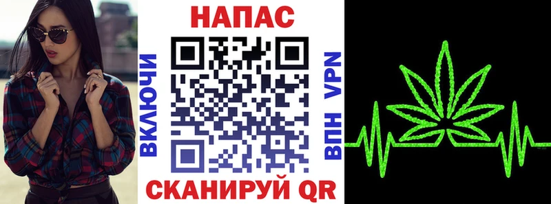 что такое   ОМГ ОМГ зеркало  Канабис SATIVA & INDICA  Сунжа 