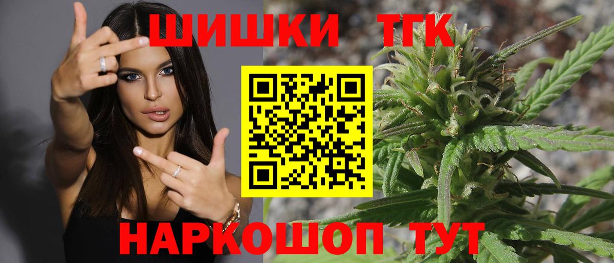 Сунжа  Каннабис план  Вход с VPN  Бошки марихуана конопля  Марихуана индика 